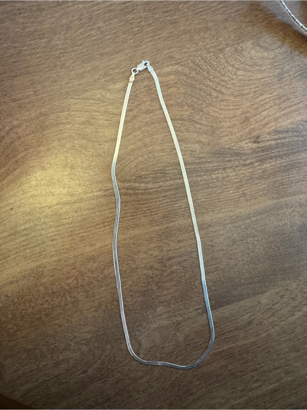 Liquid Silver Chain Necklace